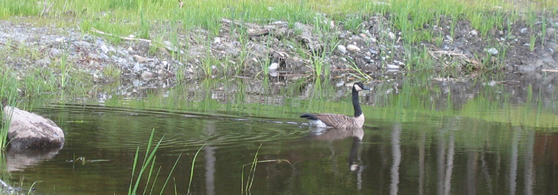 Térritoire de chasse et pêche au. f. r. inc. - photo 2